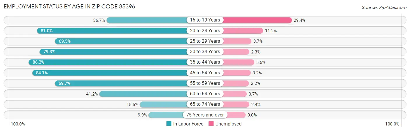 Employment Status by Age in Zip Code 85396