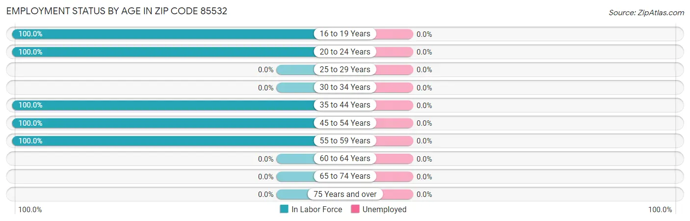 Employment Status by Age in Zip Code 85532