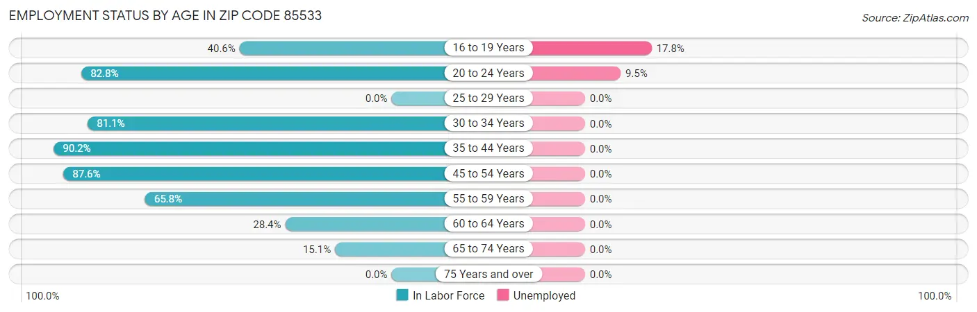 Employment Status by Age in Zip Code 85533