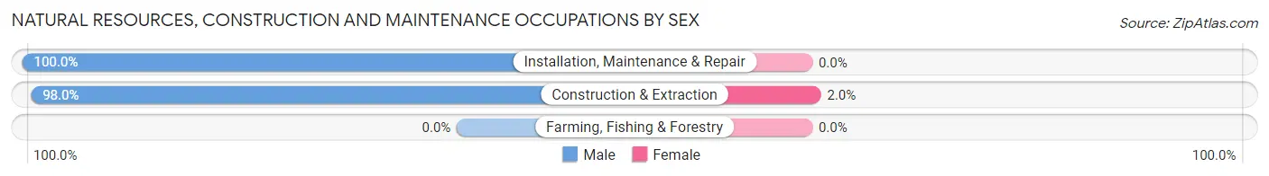 Natural Resources, Construction and Maintenance Occupations by Sex in Zip Code 85534