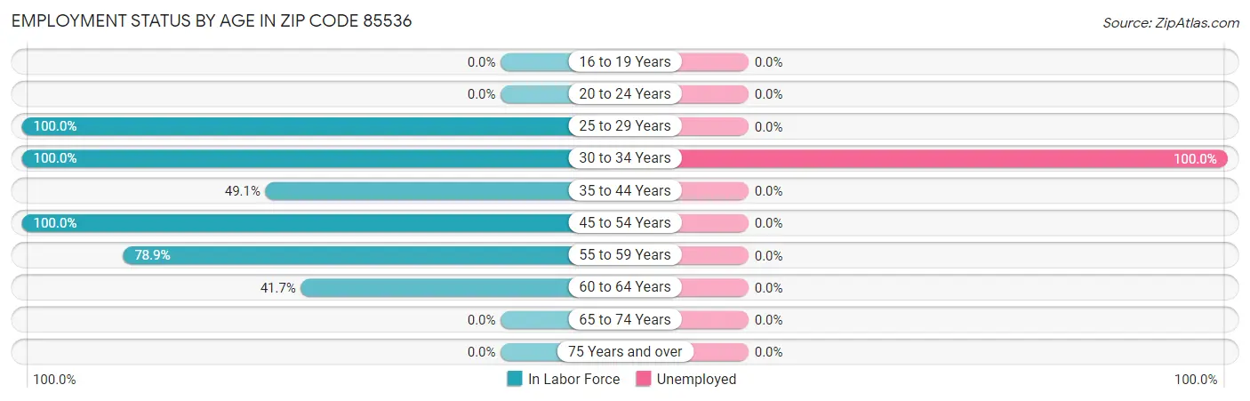 Employment Status by Age in Zip Code 85536