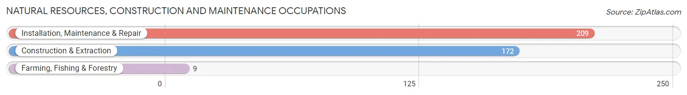 Natural Resources, Construction and Maintenance Occupations in Zip Code 85552