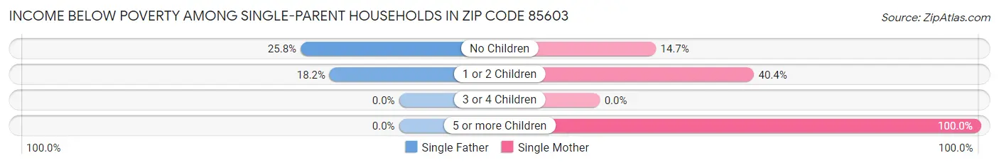 Income Below Poverty Among Single-Parent Households in Zip Code 85603