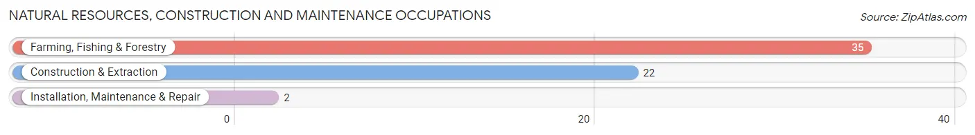 Natural Resources, Construction and Maintenance Occupations in Zip Code 85605