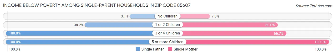 Income Below Poverty Among Single-Parent Households in Zip Code 85607