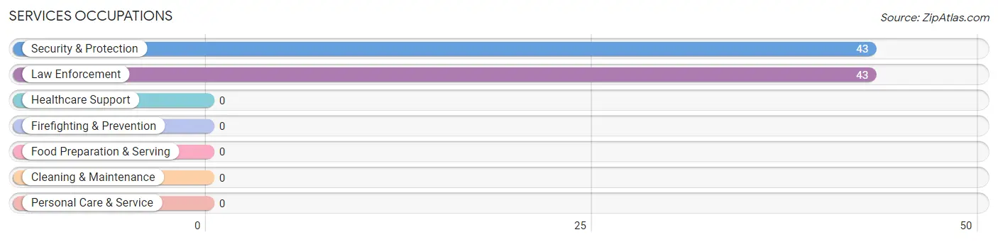 Services Occupations in Zip Code 85609