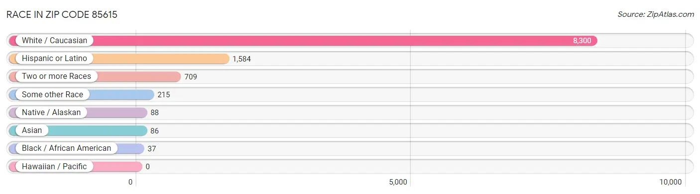 Race in Zip Code 85615