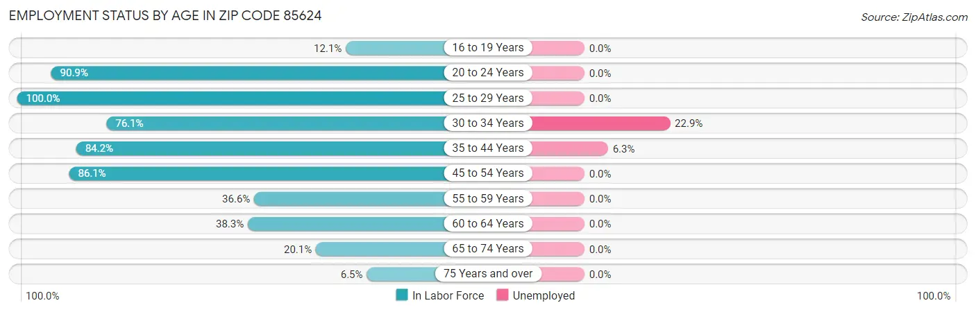 Employment Status by Age in Zip Code 85624