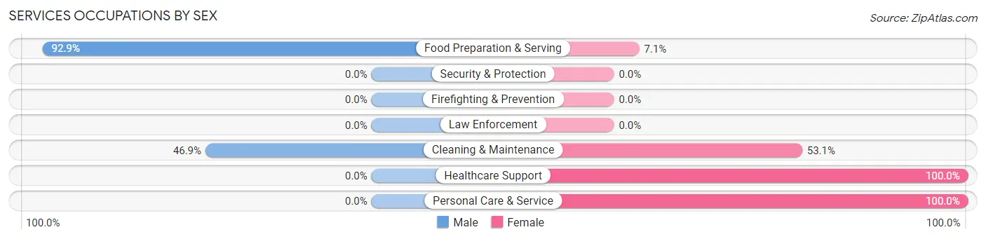 Services Occupations by Sex in Zip Code 85624