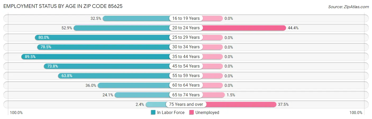 Employment Status by Age in Zip Code 85625