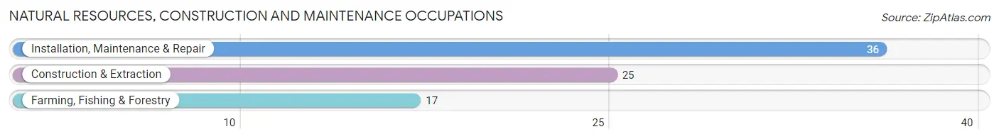 Natural Resources, Construction and Maintenance Occupations in Zip Code 85625