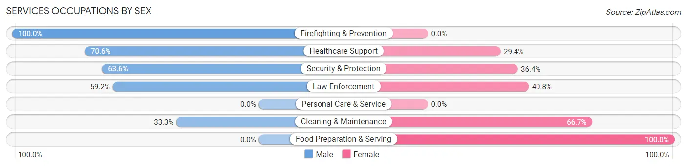 Services Occupations by Sex in Zip Code 85625