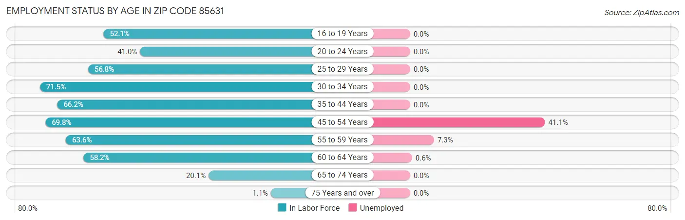 Employment Status by Age in Zip Code 85631