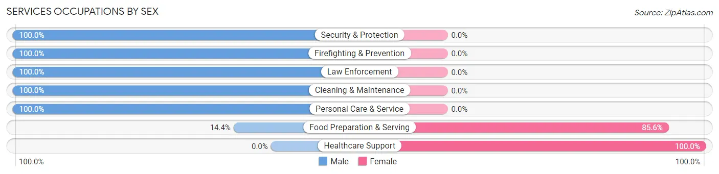 Services Occupations by Sex in Zip Code 85631