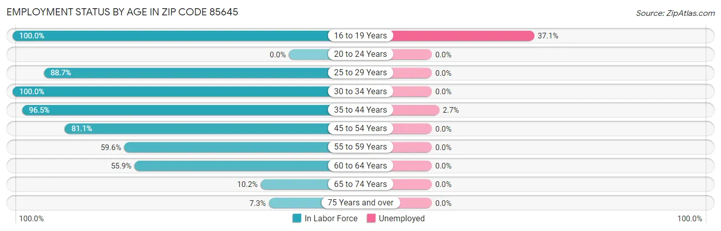 Employment Status by Age in Zip Code 85645