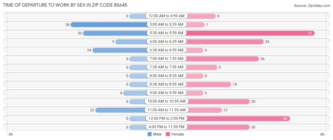 Time of Departure to Work by Sex in Zip Code 85645