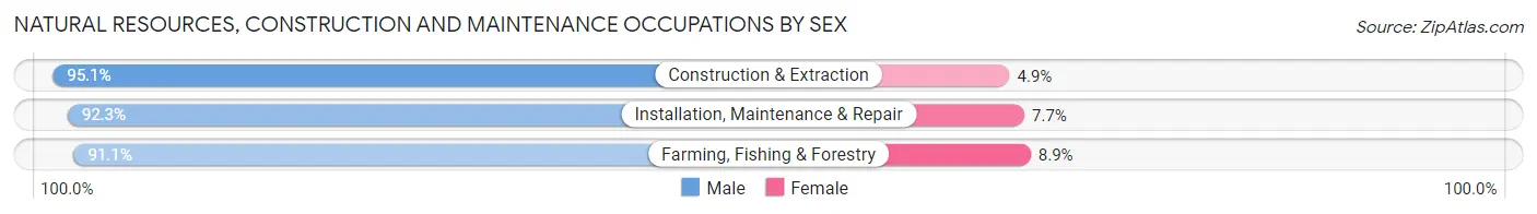 Natural Resources, Construction and Maintenance Occupations by Sex in Zip Code 85706