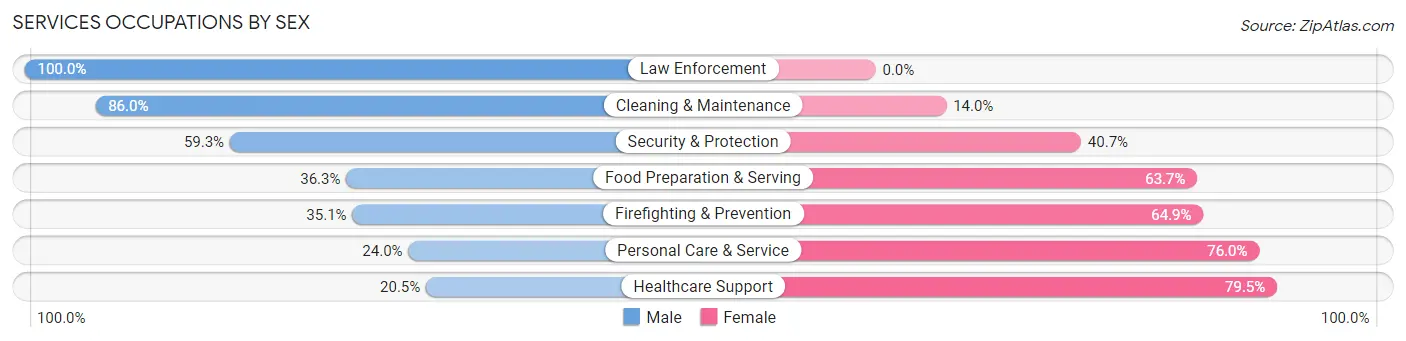 Services Occupations by Sex in Zip Code 85735
