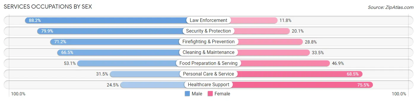 Services Occupations by Sex in Zip Code 85745