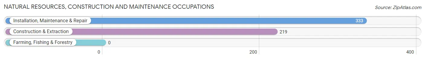 Natural Resources, Construction and Maintenance Occupations in Zip Code 85748