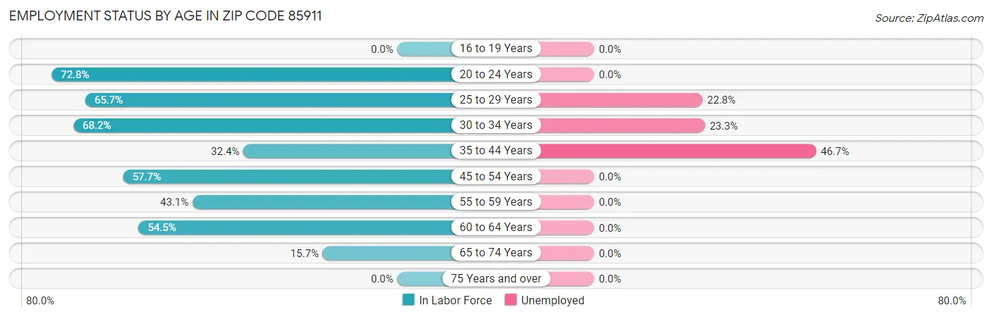 Employment Status by Age in Zip Code 85911