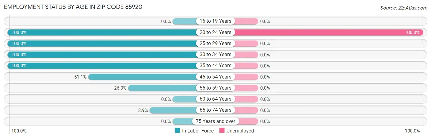 Employment Status by Age in Zip Code 85920