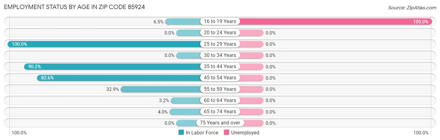 Employment Status by Age in Zip Code 85924