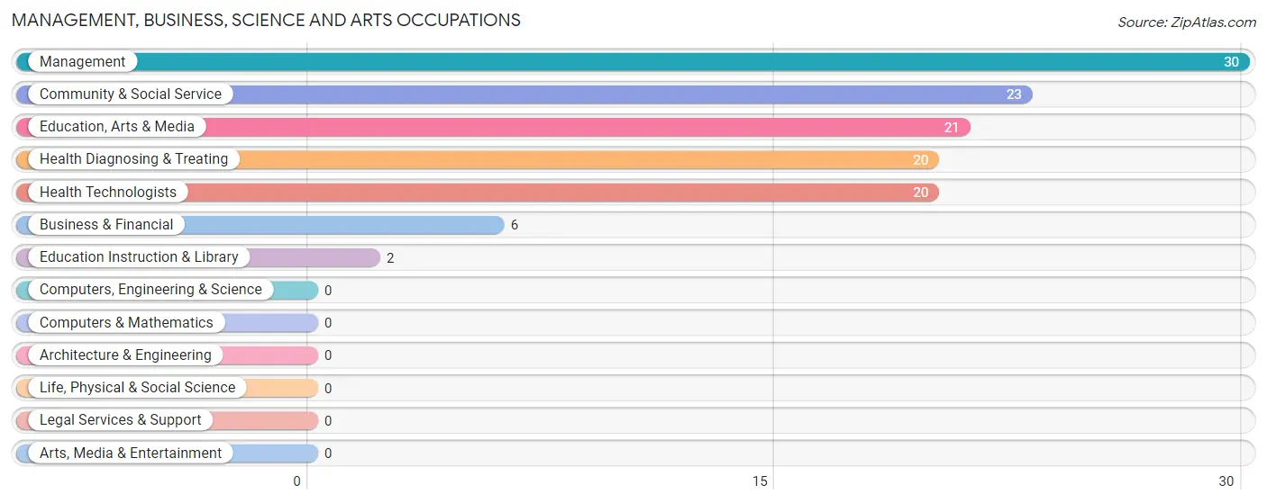 Management, Business, Science and Arts Occupations in Zip Code 85924