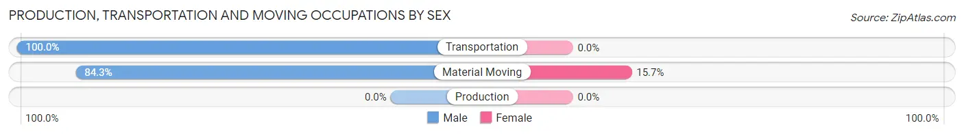 Production, Transportation and Moving Occupations by Sex in Zip Code 85924