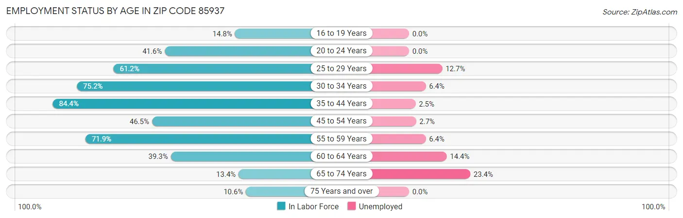 Employment Status by Age in Zip Code 85937