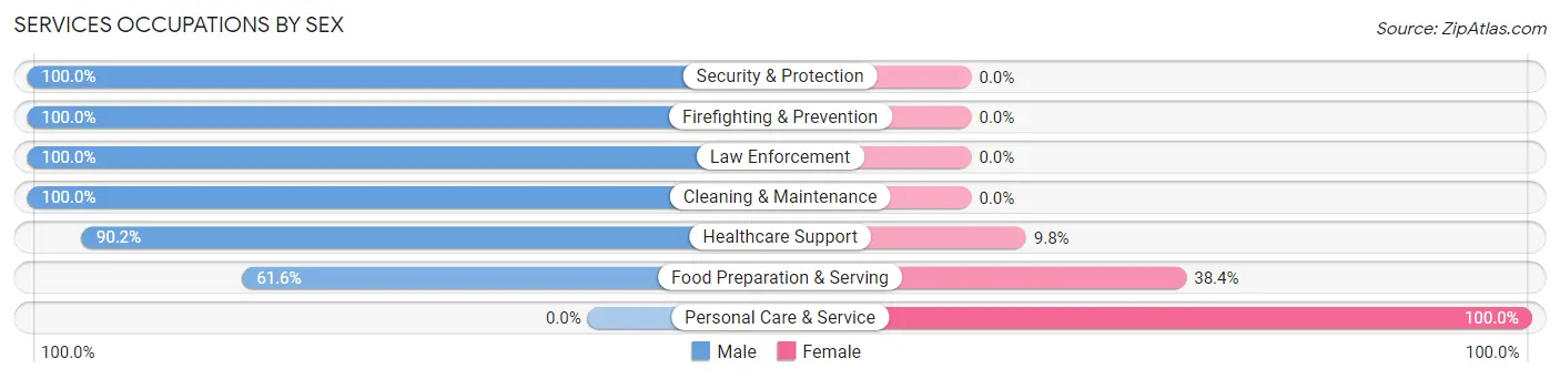 Services Occupations by Sex in Zip Code 85937