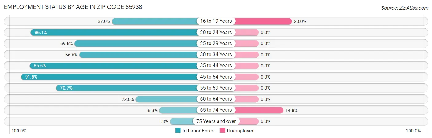 Employment Status by Age in Zip Code 85938