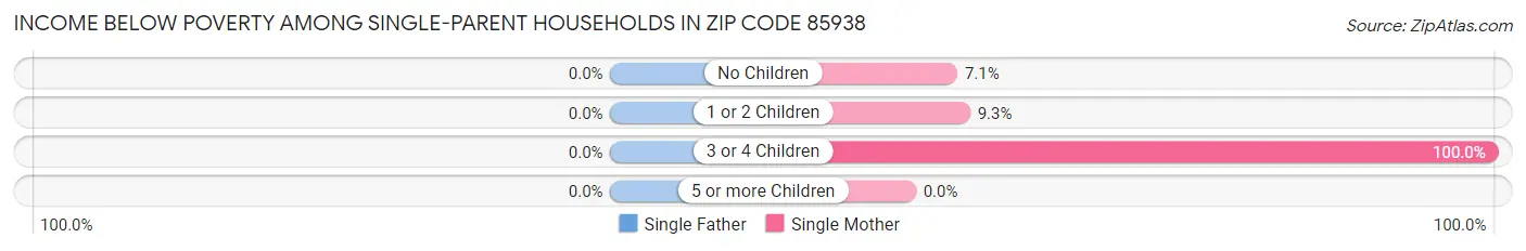 Income Below Poverty Among Single-Parent Households in Zip Code 85938