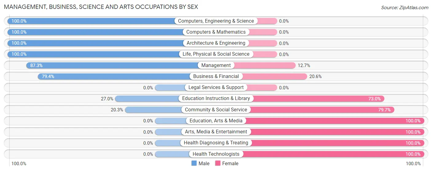 Management, Business, Science and Arts Occupations by Sex in Zip Code 85938