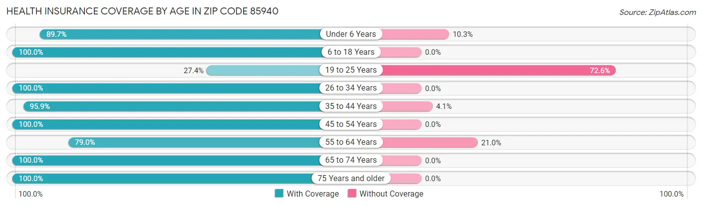 Health Insurance Coverage by Age in Zip Code 85940