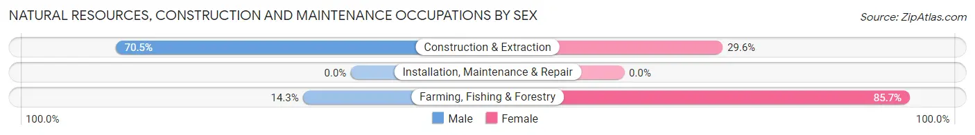 Natural Resources, Construction and Maintenance Occupations by Sex in Zip Code 85940