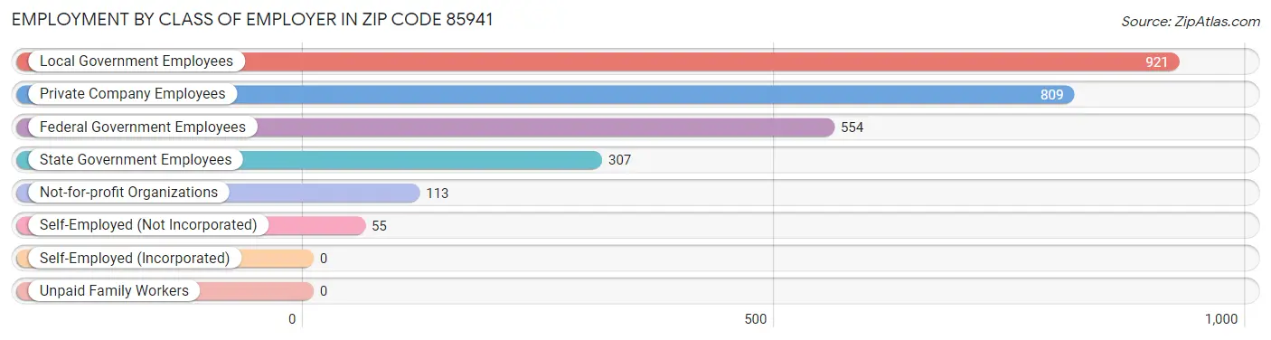 Employment by Class of Employer in Zip Code 85941