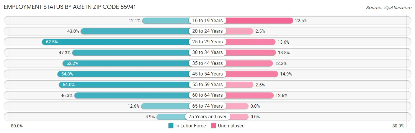 Employment Status by Age in Zip Code 85941