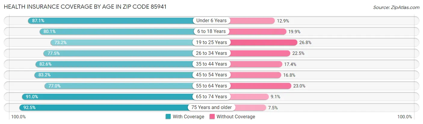 Health Insurance Coverage by Age in Zip Code 85941