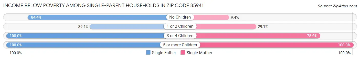 Income Below Poverty Among Single-Parent Households in Zip Code 85941