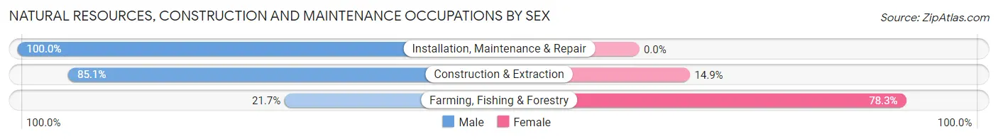 Natural Resources, Construction and Maintenance Occupations by Sex in Zip Code 86001