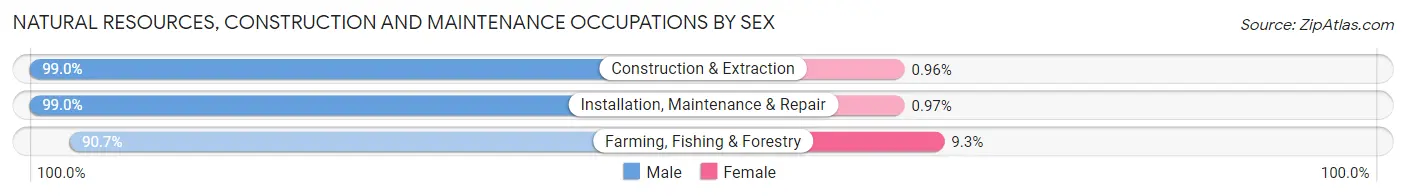 Natural Resources, Construction and Maintenance Occupations by Sex in Zip Code 86004