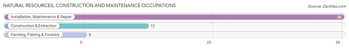 Natural Resources, Construction and Maintenance Occupations in Zip Code 86032