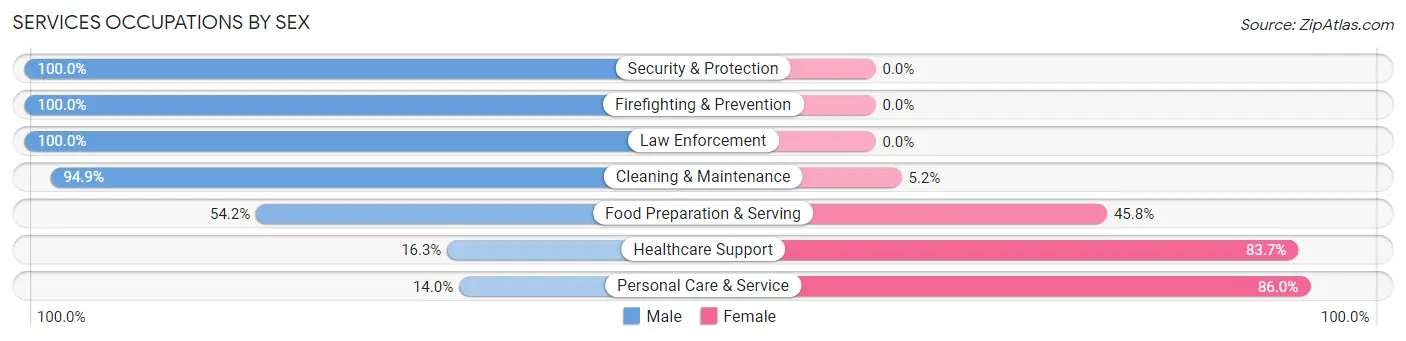 Services Occupations by Sex in Zip Code 86303