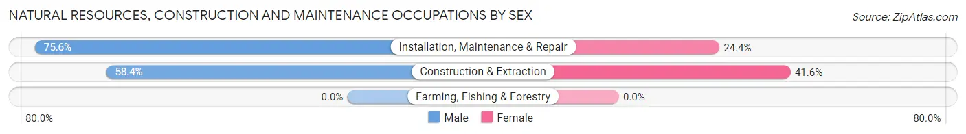Natural Resources, Construction and Maintenance Occupations by Sex in Zip Code 86327
