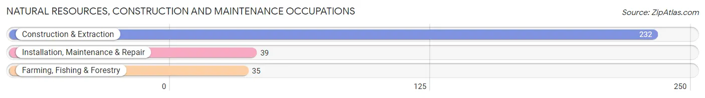 Natural Resources, Construction and Maintenance Occupations in Zip Code 86333