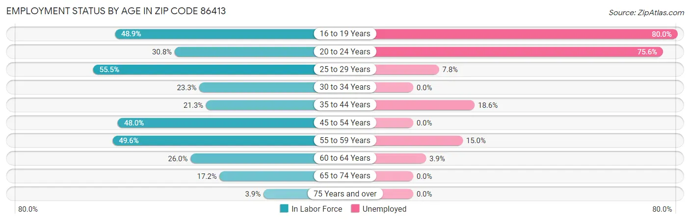 Employment Status by Age in Zip Code 86413