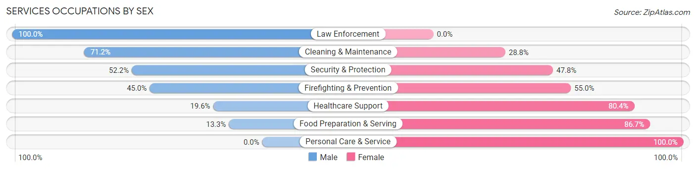 Services Occupations by Sex in Zip Code 86510