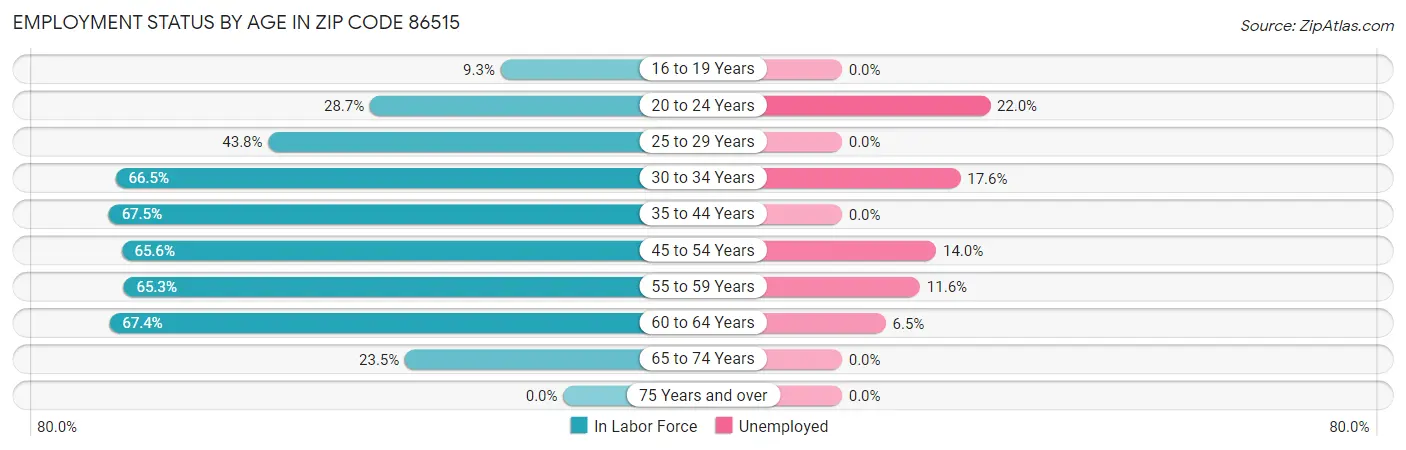 Employment Status by Age in Zip Code 86515