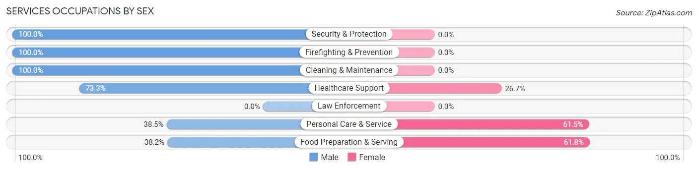 Services Occupations by Sex in Zip Code 87007